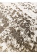 Kilimas Fiara 20171A 2,00*2,90 78-bone/grey shr