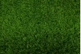 Kiliminė danga Terraza 18mm 4m žolė